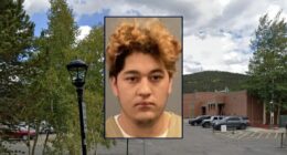 Man killed and dismembered baby's mom, 'stuffed' body under bed, then suggested she killed herself: Police