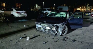 Man shot by Border Patrol in Oregon charged with assault against a federal officer