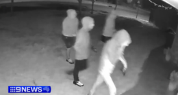 Man struck by machete and tree branch during alleged home invasion