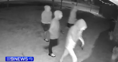 Man struck by machete and tree branch during alleged home invasion