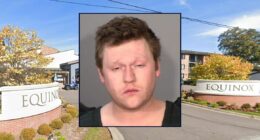 Man told rideshare driver his phone was covered in 'fish guts' after stabbing father-son duo: Police