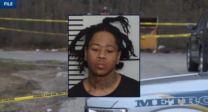 Man used 15-year-old girl to lure victim into fatal ambush in deadly 'revenge plan': Police