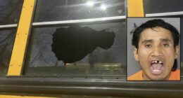 Man who chucked a rock at a school bus and fractured 8-year-old's skull has done it before: Police