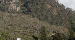 Wye River car extraction