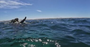 Mates emerge to every 'diver's worst nightmare'