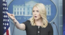 Media Shows You Don't Hate Them Enough With Hot Take on Karoline Leavitt Comment About Trump Interview