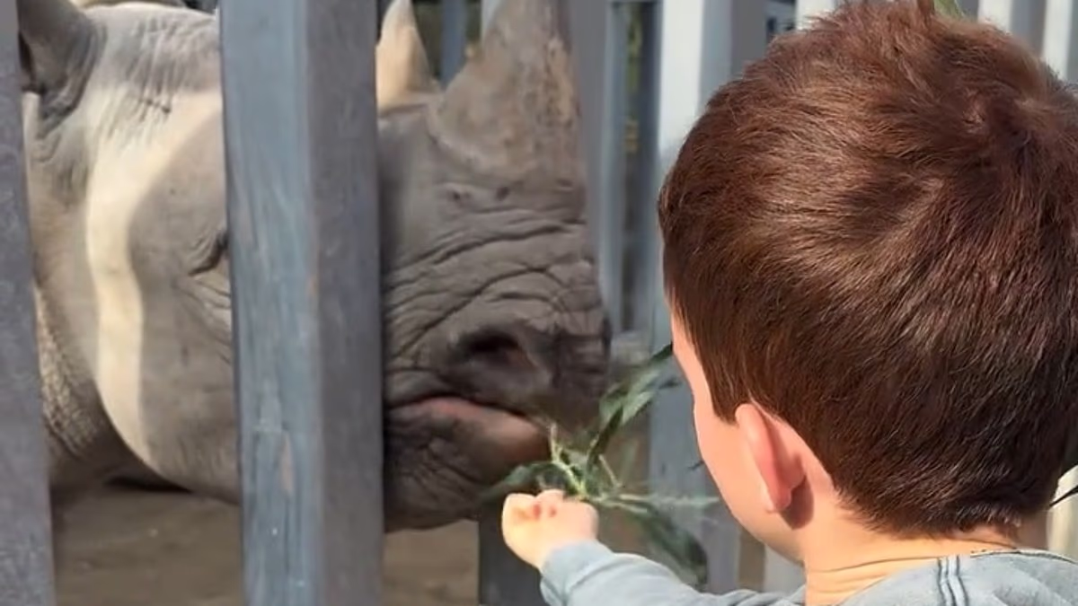 Meghan posts sweet clips of Lilibet and Archie swimming and at the zoo