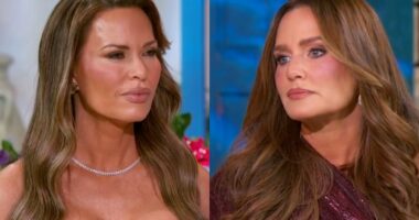 Meredith Accuses Britani of Supporting a Bigot