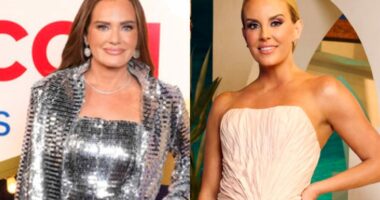 Meredith on What Whitney Told Her While “Blackout” Drunk in RHOSLC Reunion Preview