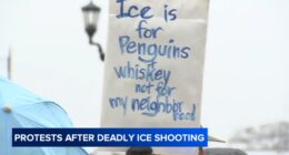 Minneapolis ICE shooting: Anti-ICE protests held across Chicago area in response to deadly federal agent shooting of Renee Good