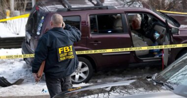 Minneapolis ICE shooting officer followed training as potentially 'deadly threat' drove at him: former agent