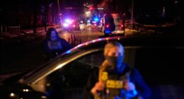 Minnesota law enforcement raises concerns about ICE agents racially profiling citizens