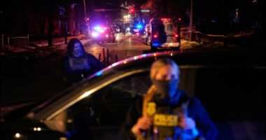 Minnesota law enforcement raises concerns about ICE agents racially profiling citizens