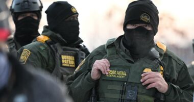 Minnesota sues federal government to limit ICE operations