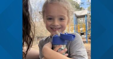 Missing 4-year-old Alabama boy found dead; father arrested on explosives, chemical endangerment charges