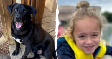 Missing 4-year-old Florida boy found dead after massive 3-day search in Alabama woods