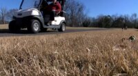 Mixed feelings in North Augusta about golf cart ordinance recently approved by council