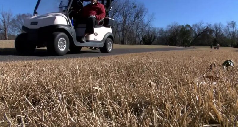 Mixed feelings in North Augusta about golf cart ordinance recently approved by council