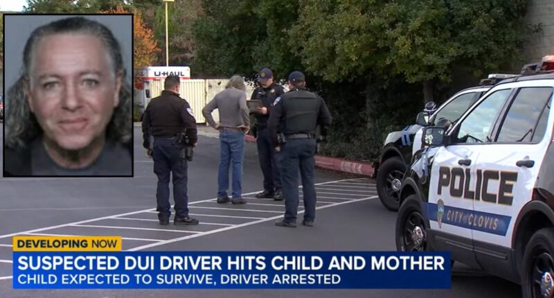 Mom and 5-year-old walking through Trader Joe's parking lot plowed into by drunk pickup driver in the middle of the day: Police