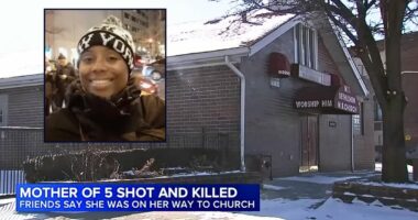 Mom of 5 shot dead while heading to weekly church service, body found in alley behind her house days before birthday: Cops