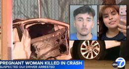 'Mommy isn't coming back': Expectant mom heading home from In-N-Out after satisfying pregnancy craving is killed by drunk Lexus driver, leaving behind 4-year-old son, cops say