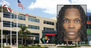 Mom's girlfriend had several stories to explain child's injuries that left him hospitalized, including burning his head with a 'hot comb': Police