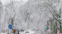 In this image provided by the City of Oxford, Miss., snow and ice cover trees and streets as a winter storm passes through, Sunday, Jan. 25, 2026, in Oxford, Miss. (Josh McCoy/City of Oxford, Miss. via AP)