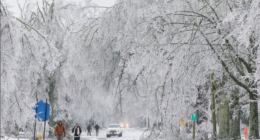 In this image provided by the City of Oxford, Miss., snow and ice cover trees and streets as a winter storm passes through, Sunday, Jan. 25, 2026, in Oxford, Miss. (Josh McCoy/City of Oxford, Miss. via AP)