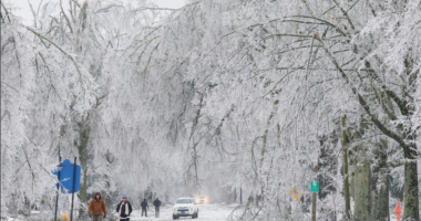 In this image provided by the City of Oxford, Miss., snow and ice cover trees and streets as a winter storm passes through, Sunday, Jan. 25, 2026, in Oxford, Miss. (Josh McCoy/City of Oxford, Miss. via AP)