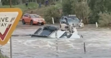 More than 16,000 livestock lost as flood levels keep rising in northern Queensland