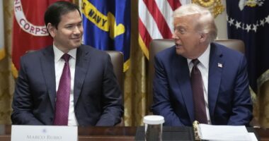 Morning Minute: The Memetic Cabinet