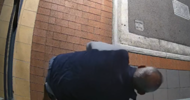 Four kittens have been dumped in an after-hours library chute ﻿for the third time as authorities investigate the man responsible. ﻿