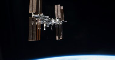 NASA cuts International Space Station mission short after astronaut's medical issue