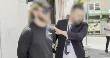 Davis was arrested in November last year after he allegedly sent a menacing message which encouraged hate and abuse towards Spender.