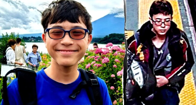 New York boy, 15, missing after traveling to NYC to meet someone he met on Roblox, family says