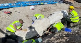 New fossils discovered during construction project at Dinosaur National Monument