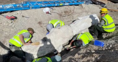 New fossils discovered during construction project at Dinosaur National Monument
