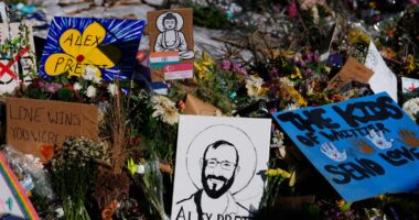 New videos show Alex Pretti scuffle with federal officers in Minneapolis 11 days before his death