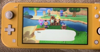 Nintendo releases major upgrade for 'Animal Crossing'