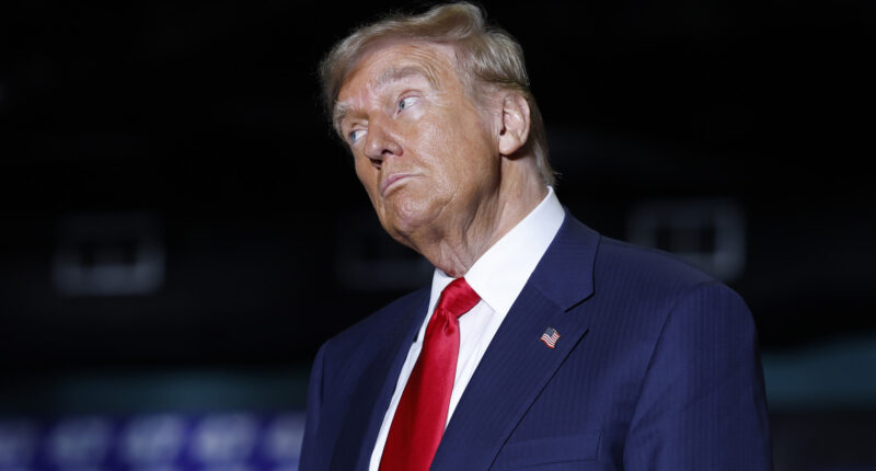 Nobel Peace Prize Winners That Gave Away Their Medal