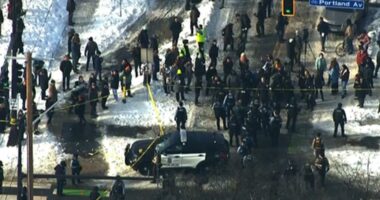 Officials identify the victim in the ICE shooting in Minneapolis