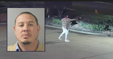 'Oh we were looking for our kidnapped daughter': Man shoots driver on Christmas Day in fatal case of mistaken identity, police say