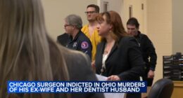 Ohio dentist and wife killed: Michael McKee, vascular surgeon of Chicago, indicted in Ohio murders of Spencer and Monique Tepe