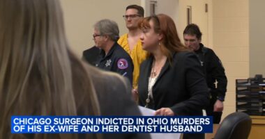 Ohio dentist and wife killed: Michael McKee, vascular surgeon of Chicago, indicted in Ohio murders of Spencer and Monique Tepe