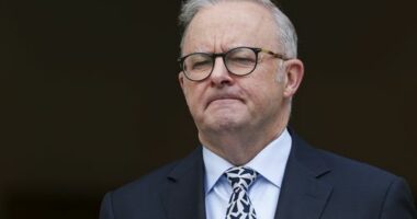 Prime Minister Anthony Albanese during a press conference at Parliament House in Canberra on Wednesday 21 January 2026. fedpol Photo: Alex Ellinghausen