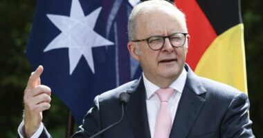 Prime Minister Anthony Albanese speaks at the 2026 Australian of the Year awards morning tea at The Lodge in Canberra on Sunday 25 January 2026.