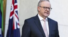 PM hits out at 'stunning' opposition to hate speech, gun reforms