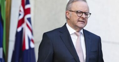 PM hits out at 'stunning' opposition to hate speech, gun reforms