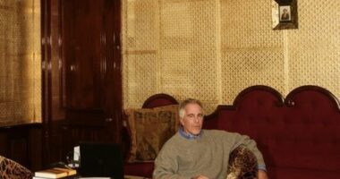 An American photographer ﻿was booked to capture Jeffrey Epstein for a story in 2015, but he has only now revealed how he received threats and intimidation to kill the piece.