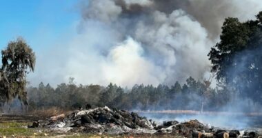 Planned burn gets out of control in St. Johns County, prompting large response